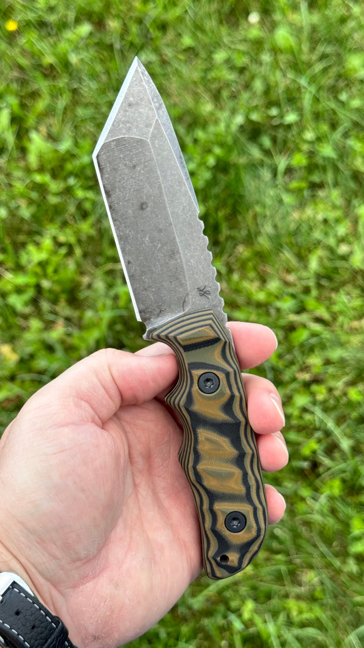 Tuatara XL